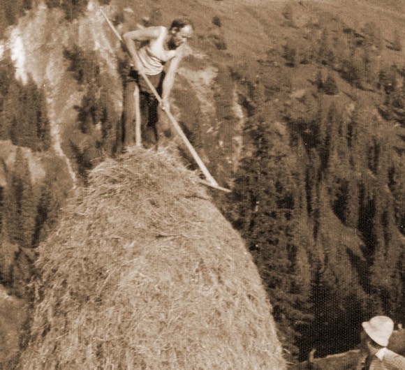 Heuarbeit am Bauernhof - alles per Hand