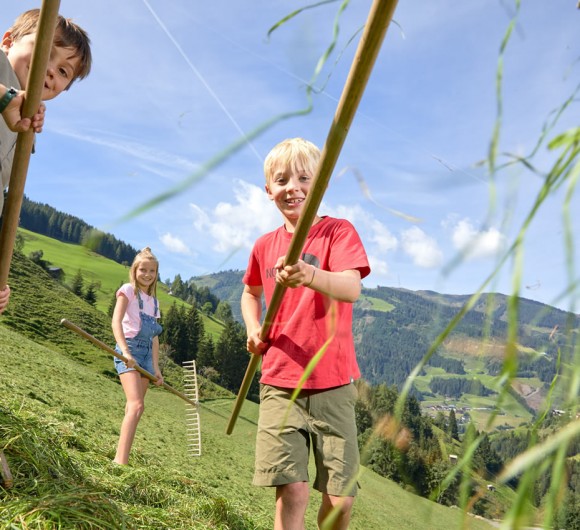 Mithelfen bei der Heuarbeit im Familienurlaub im Sommer © Michael Huber, Huber Fotografie