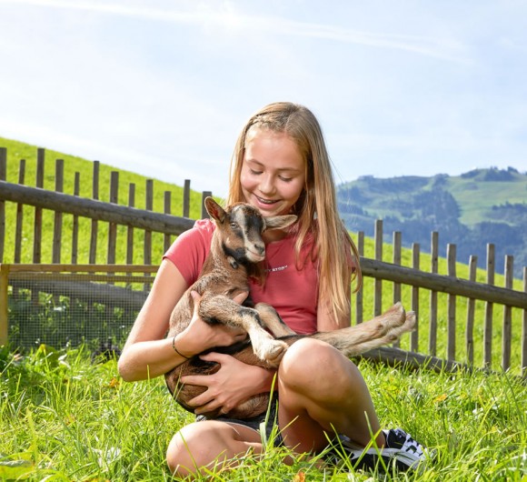 Ziegen kuscheln und füttern © Michael Huber, Huber Fotografie