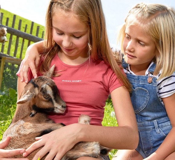 Ziegen füttern am Bauernhof Reisenhof im Ellmautal