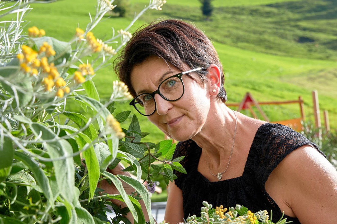 Kräuter aus dem Garten