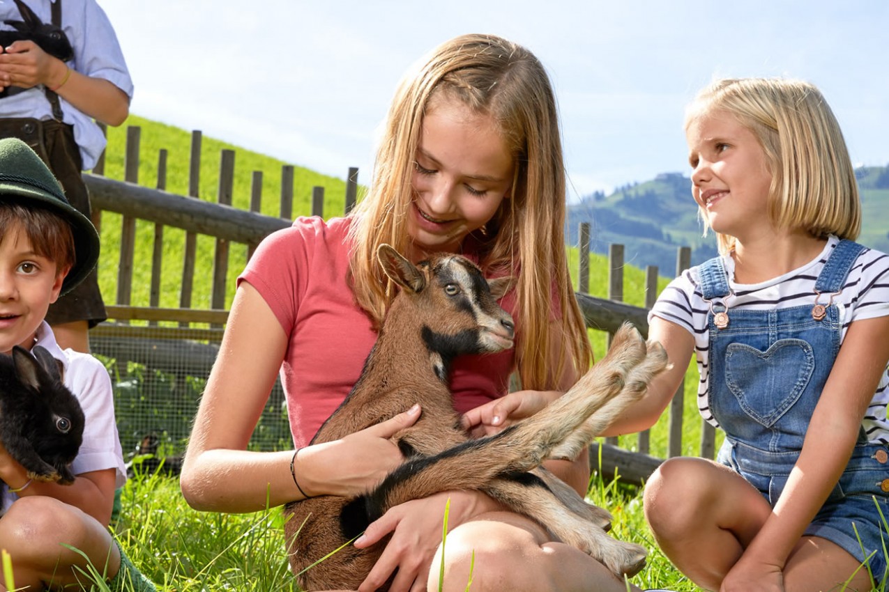 Ziegen füttern in den Ferien am Bauernhof am Reisenhof in Großarl