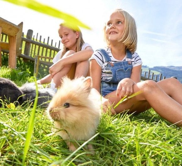 Tiere am Hof zum Streicheln